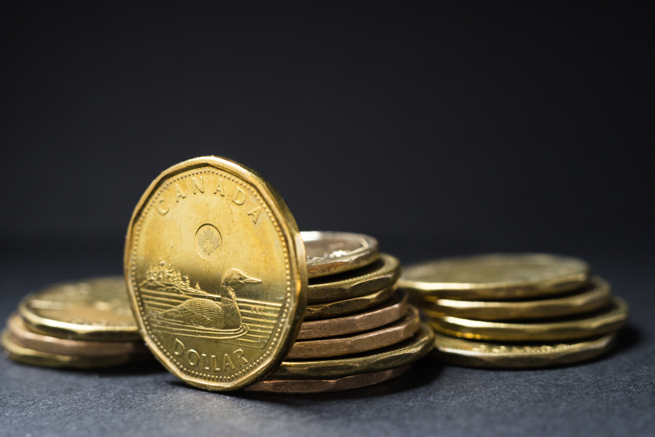 Canadian dollar coins Edmonton Numismatic Society